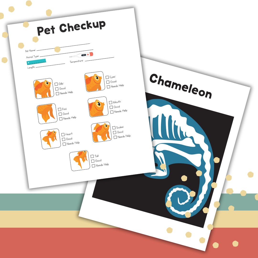Veterinarian Imagination Play Pack