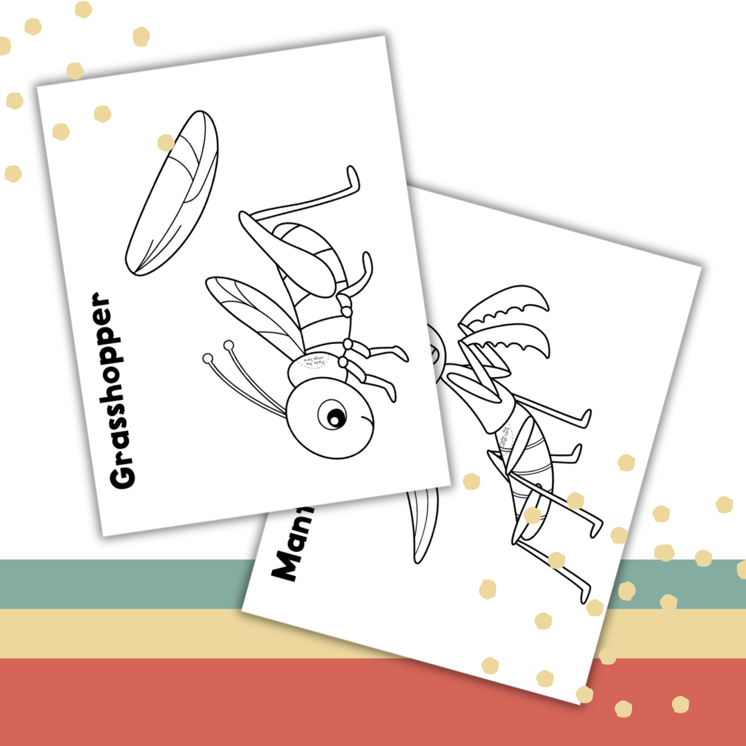 3D Bugs Paper Craft Activity Kit