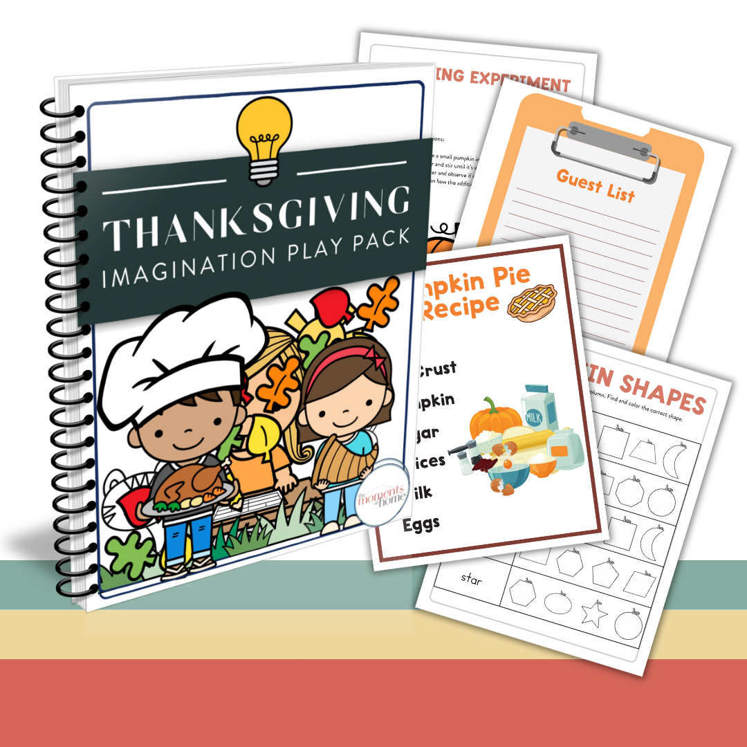 Seasonal Fun Imagination Play Pack