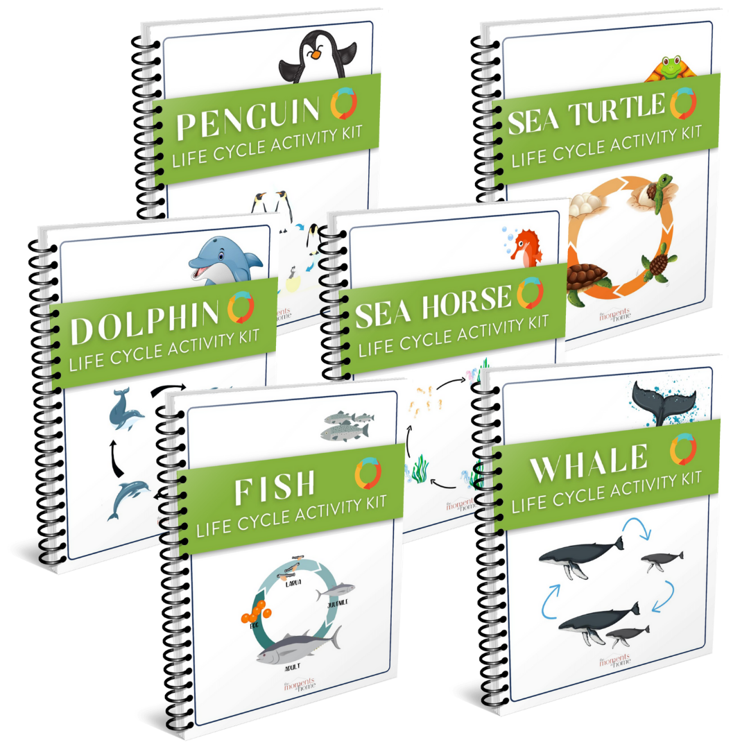 Ocean Activity Bundle