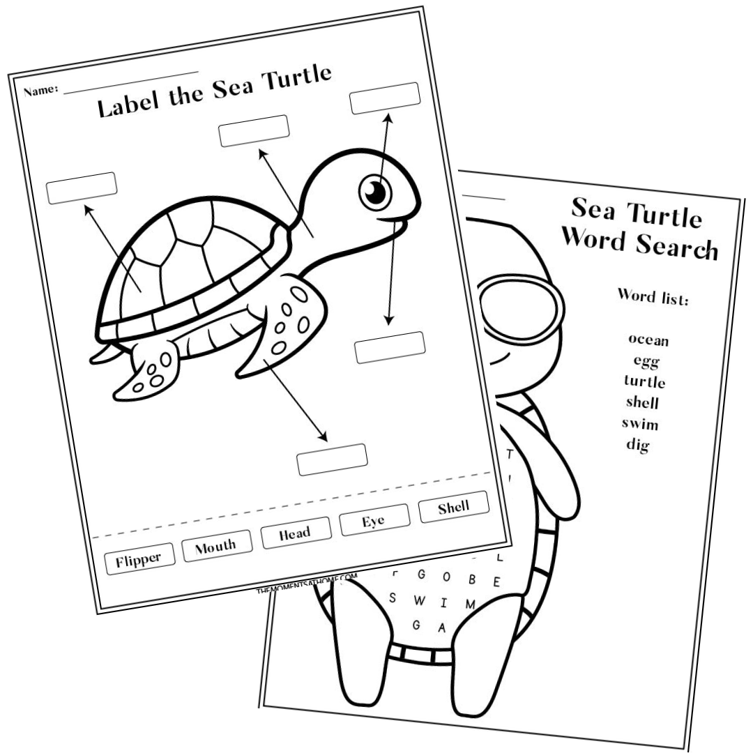 Ocean Activity Bundle