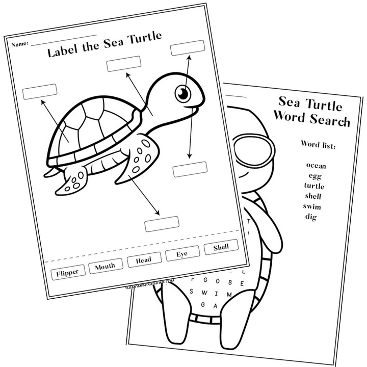 Ocean Activity Bundle