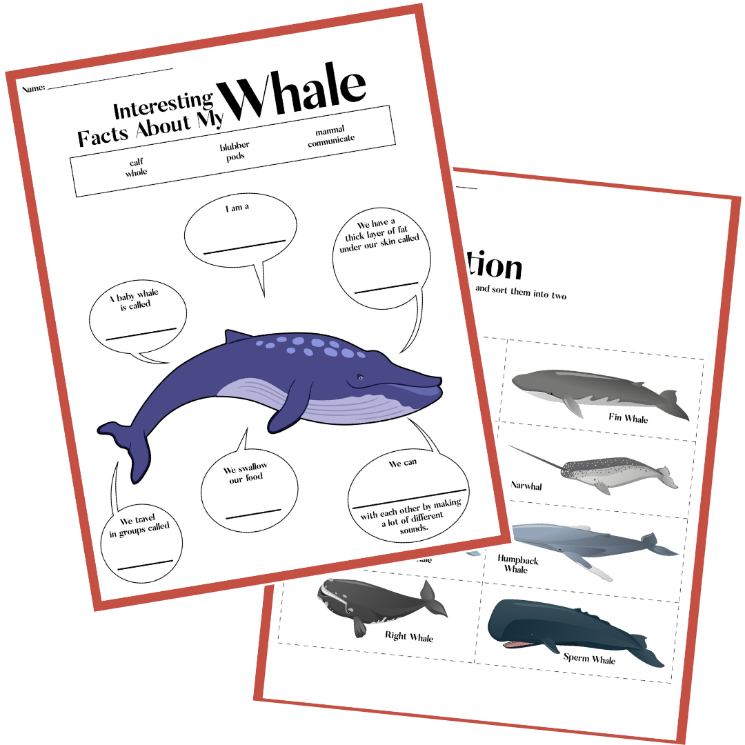 Ocean Activity Bundle