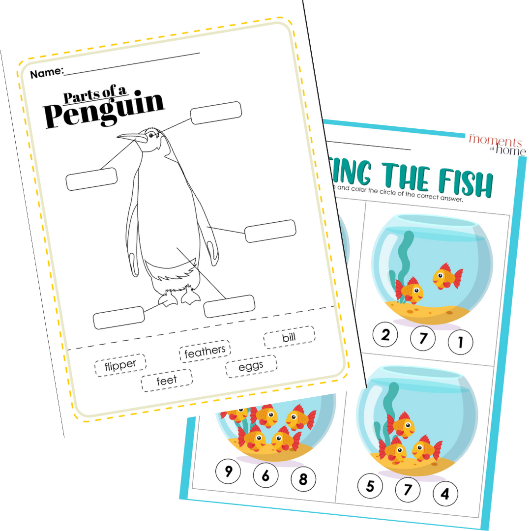 Ocean Activity Bundle