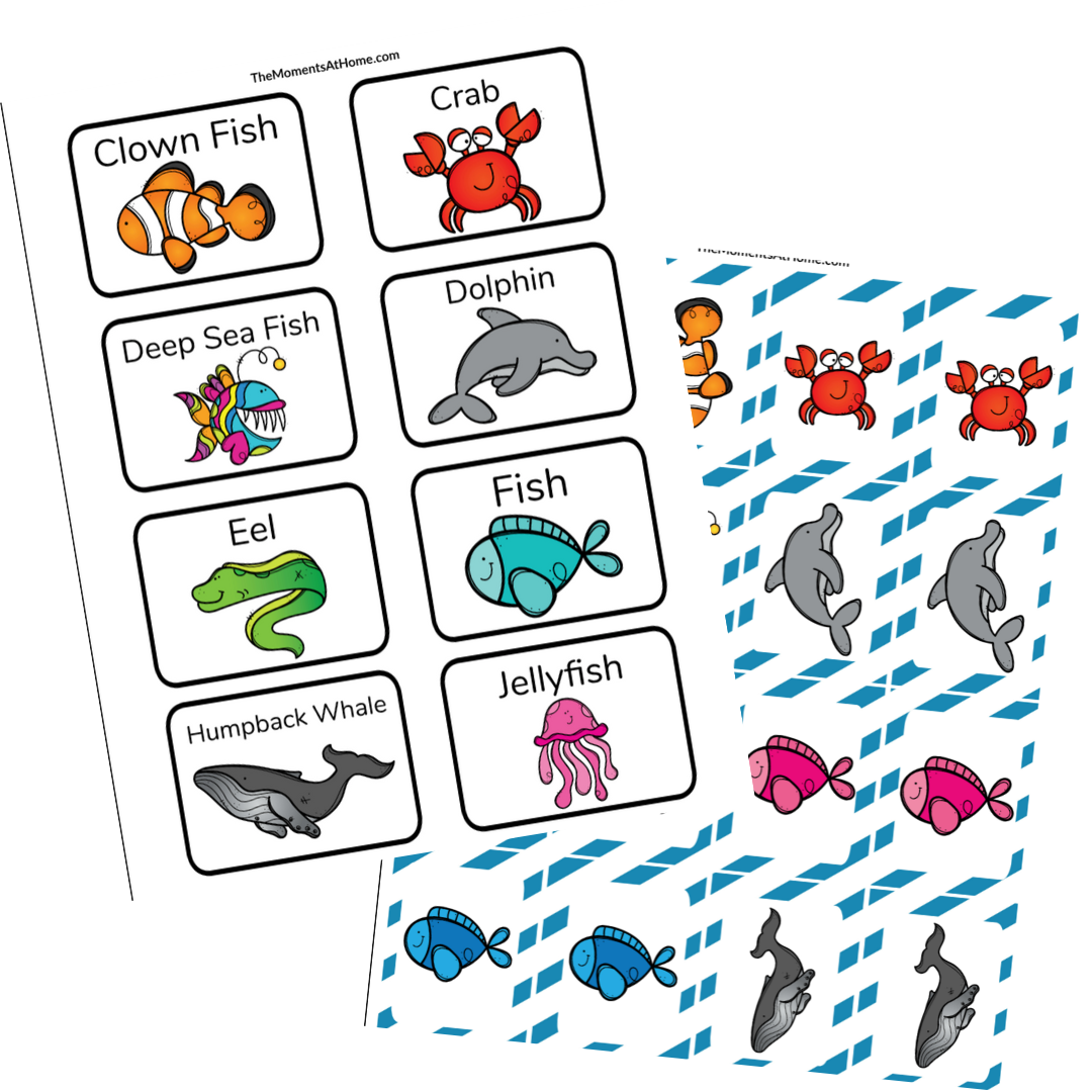 Ocean Activity Bundle