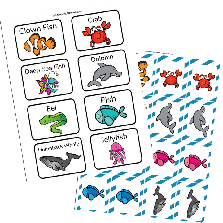 Ocean Activity Bundle
