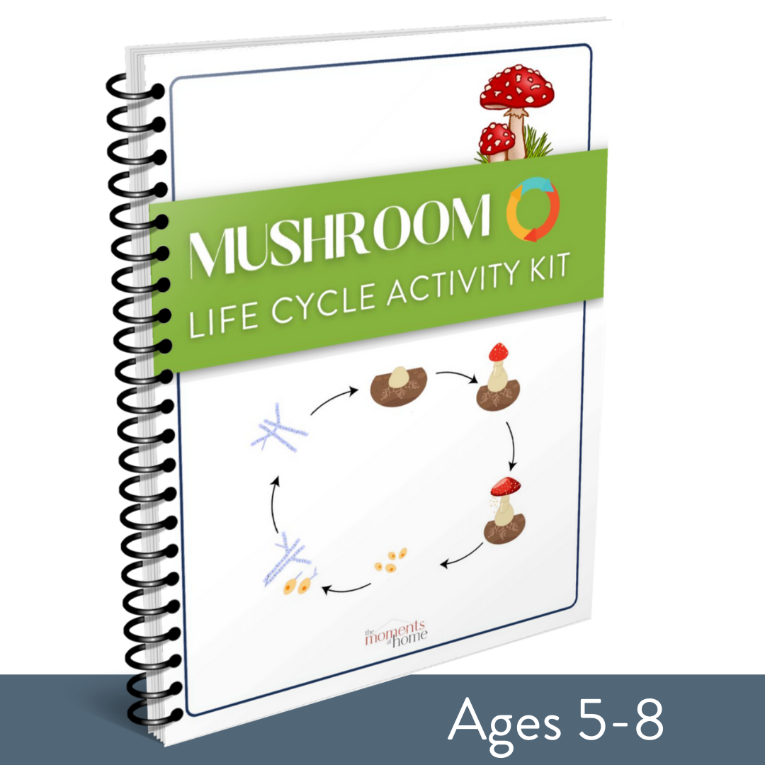 Mushroom Life Cycle Activity Kit – The Moments At Home