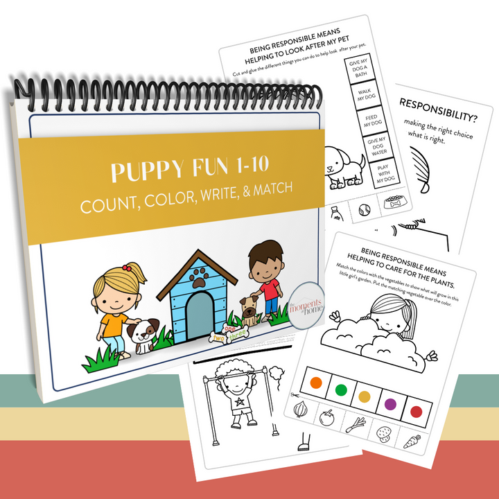 Preschool  Deluxe Activity Bundle