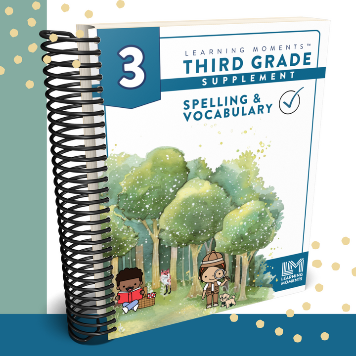 Spelling & Vocabulary for 3rd Grade