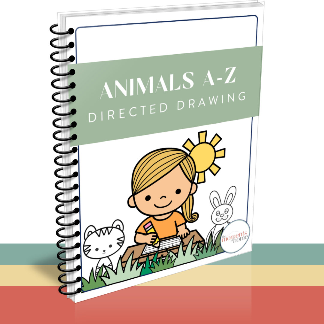 Animals from A-Z Directed Drawing Art Kit