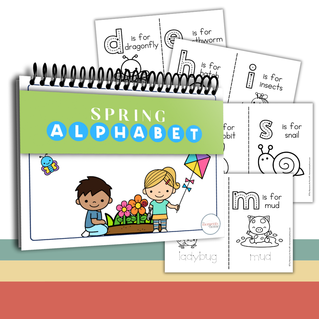 Ultimate Alphabet Seasons Write & Color Book Bundle