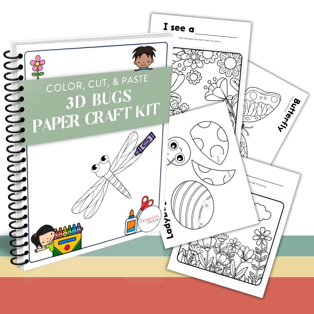 3D Bugs Paper Craft Activity Kit