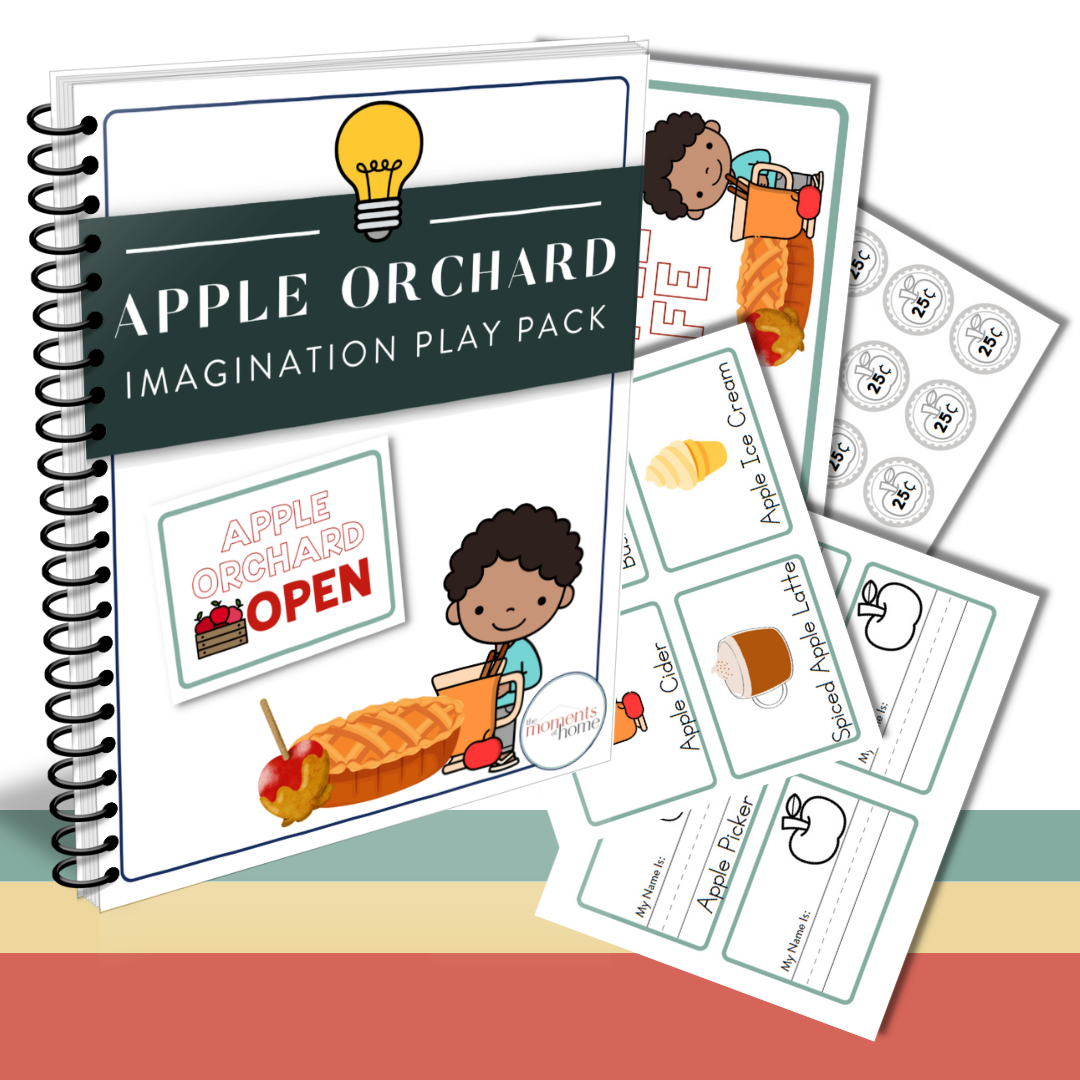 Seasonal Fun Imagination Play Pack