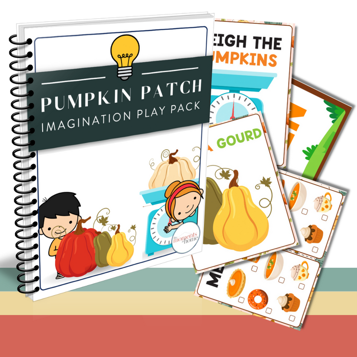 Seasonal Fun Imagination Play Pack