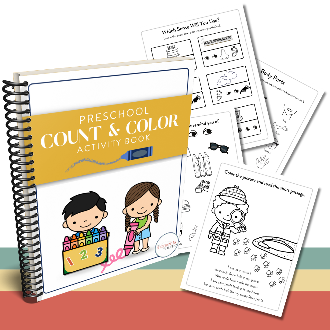 Preschool  Deluxe Activity Bundle