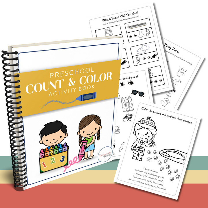 Preschool  Deluxe Activity Bundle