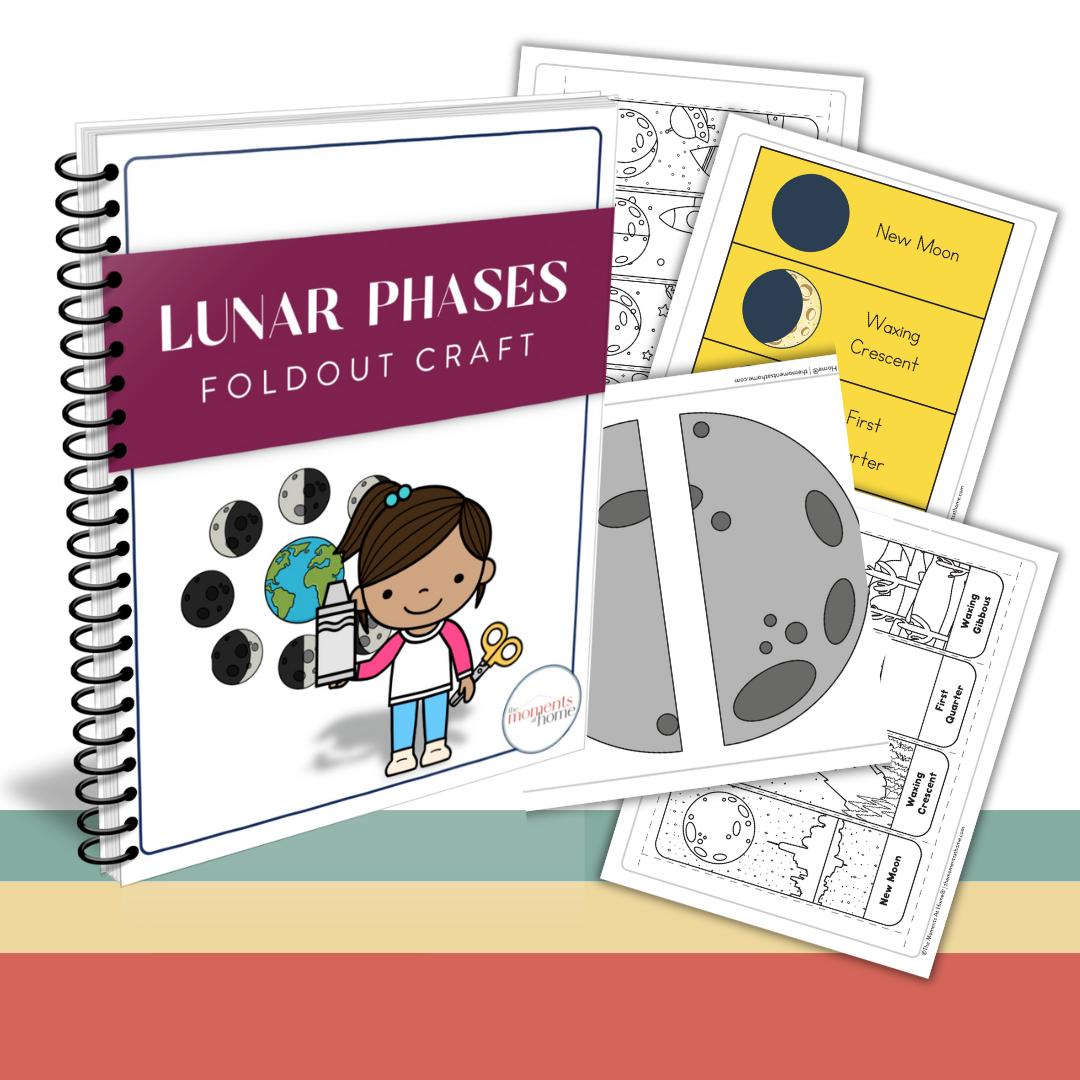 Lunar Phases Fold Out Craft
