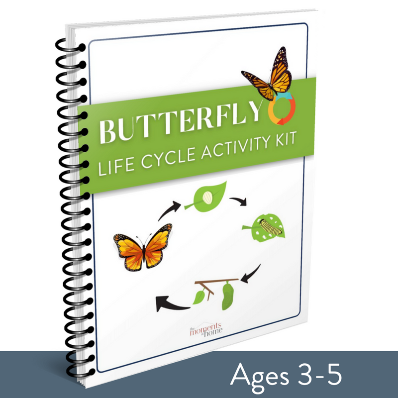 Butterfly Life Cycle Activity Kit
