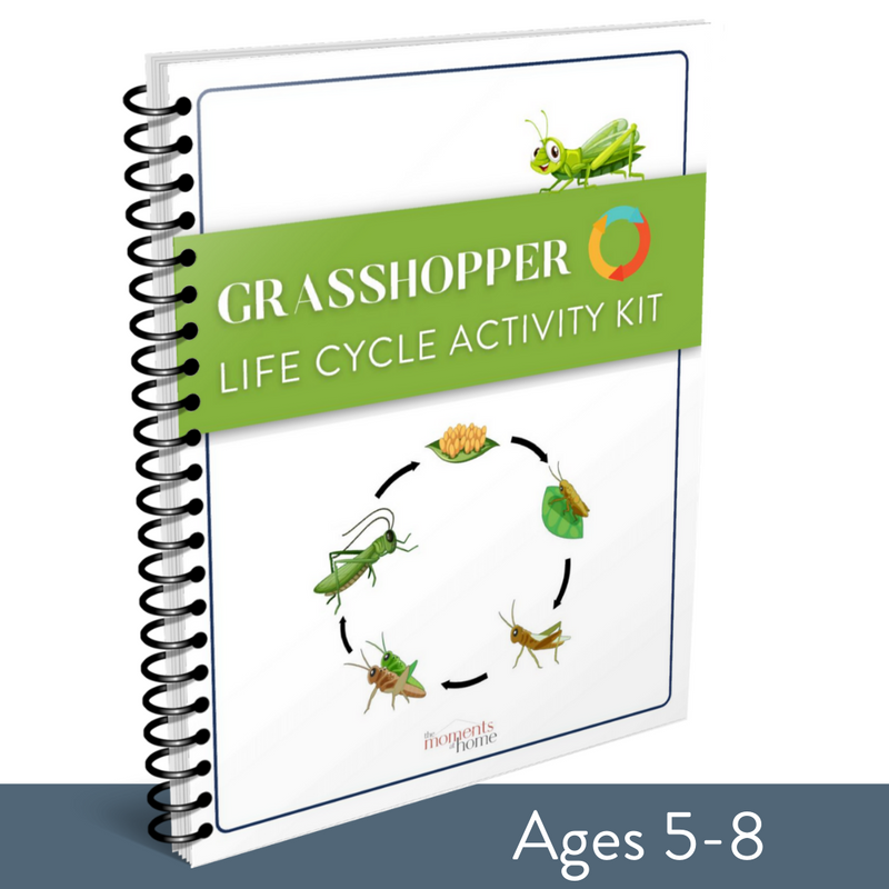 Grasshopper Life Cycle Activity Kit