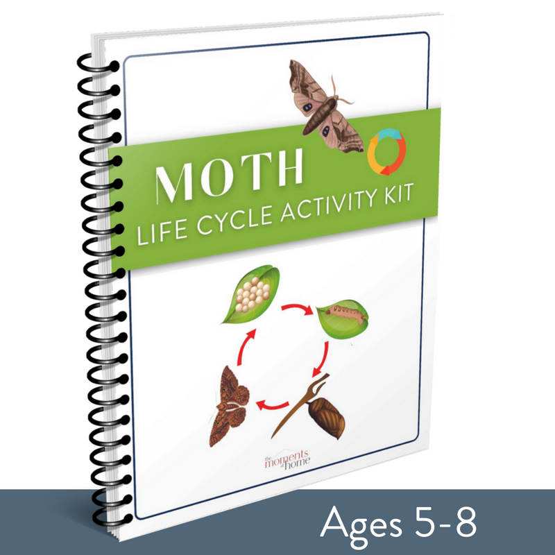 Moth Life Cycle Activity Kit