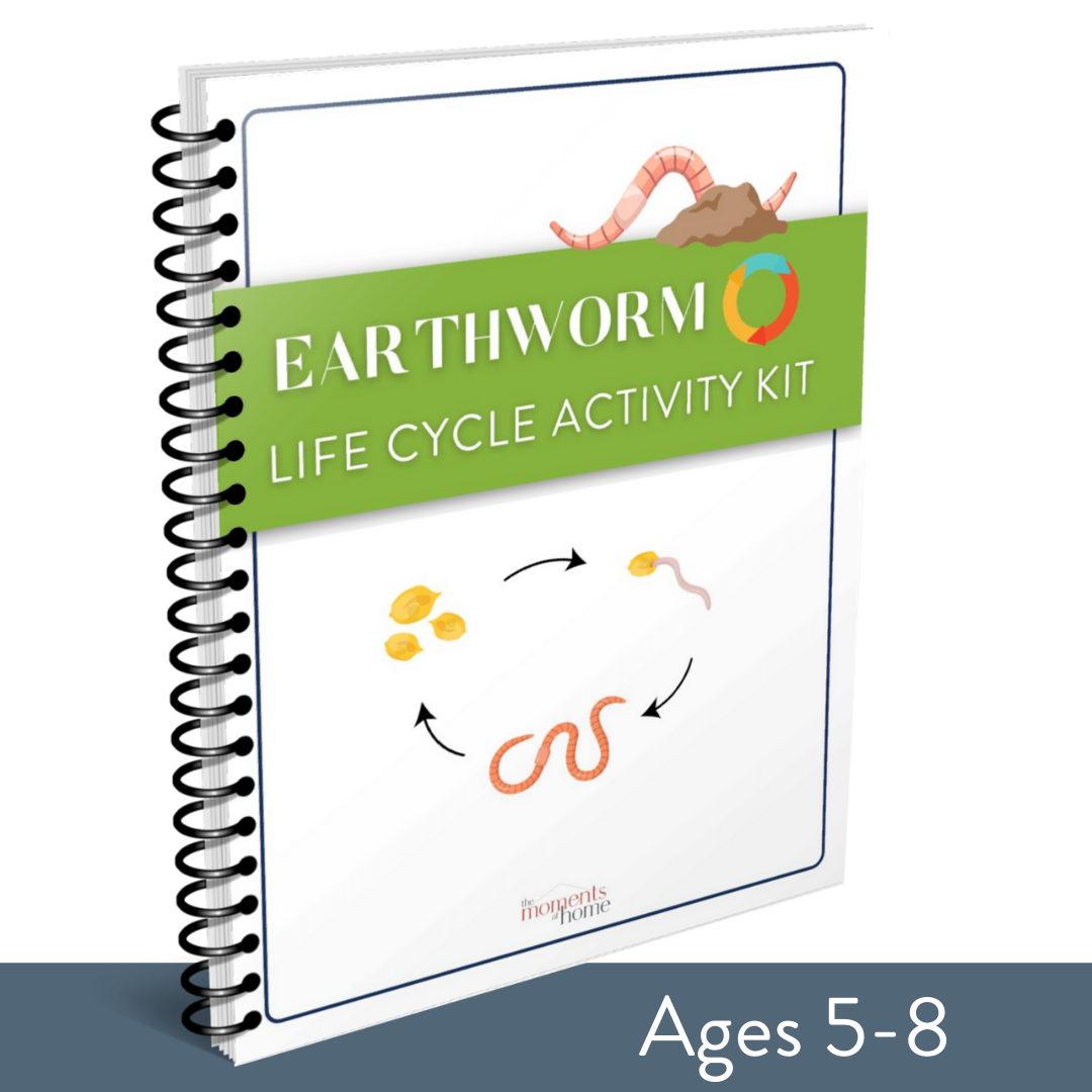 Earthworm Life Cycle Activity Kit