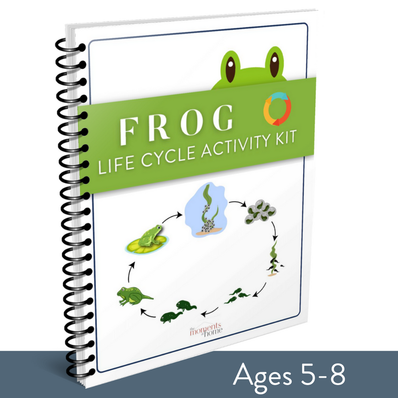 Frog Life Cycle Activity Kit