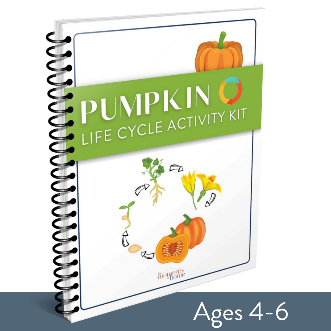 Pumpkin Life Cycle Activity Kit