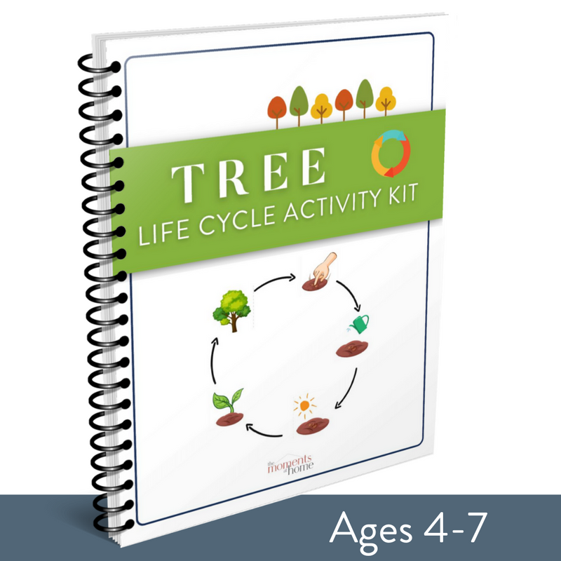 Tree Life Cycle Activity Kit