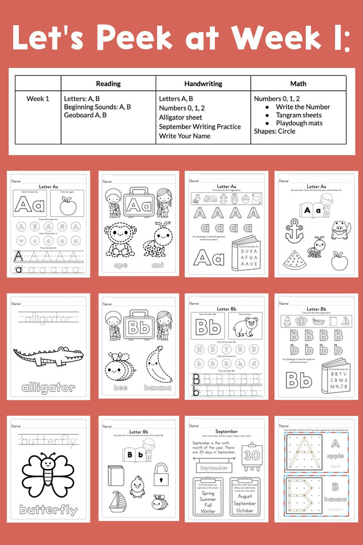 Kindergarten Curriculum