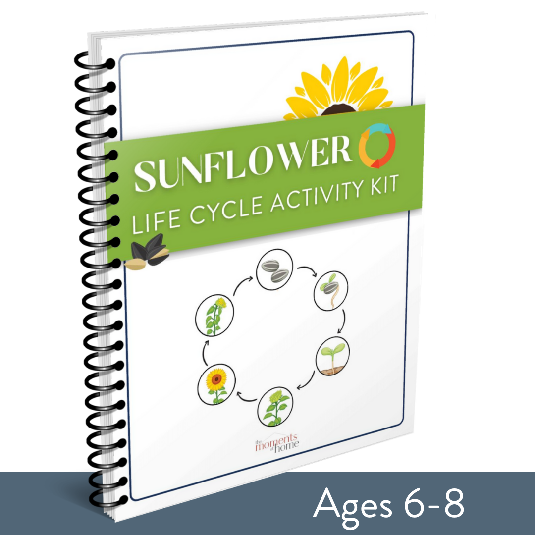 Sunflower Life Cycle Activity Kit