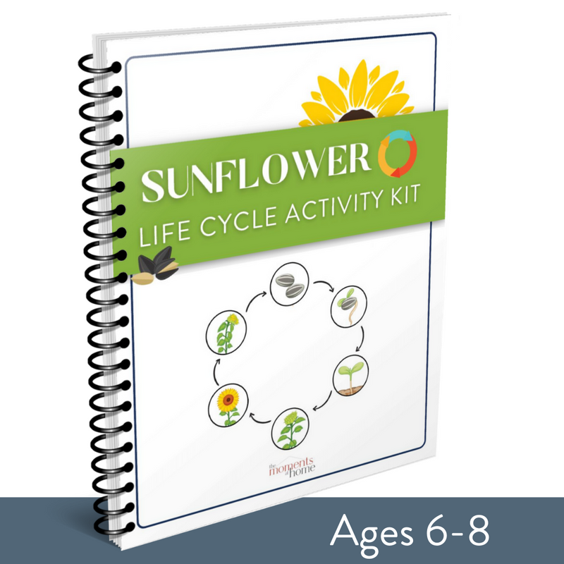Sunflower Life Cycle Activity Kit