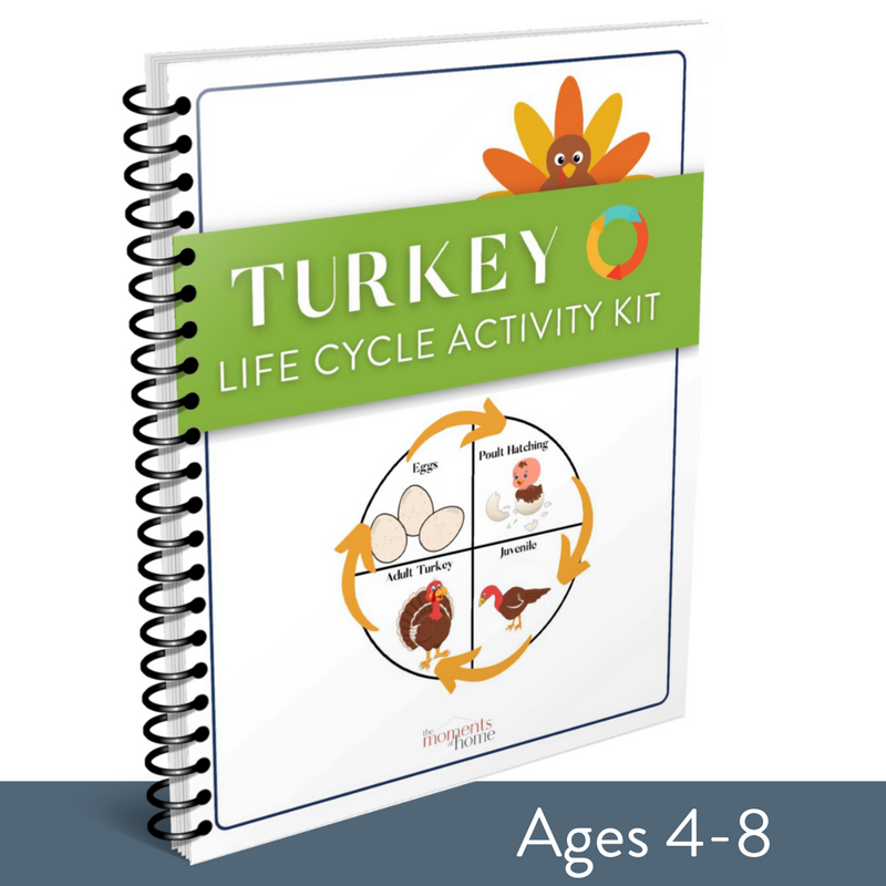 Turkey Life Cycle Activity Kit