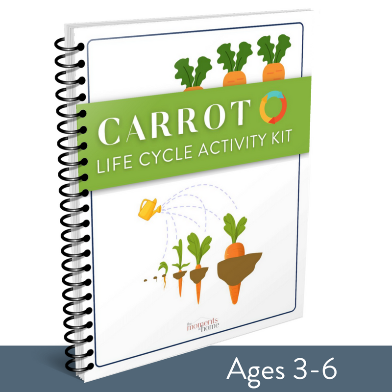 Carrot Life Cycle Activity Kit