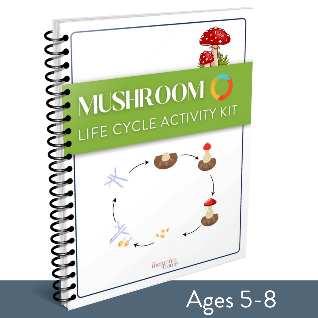 Mushroom Life Cycle Activity Kit