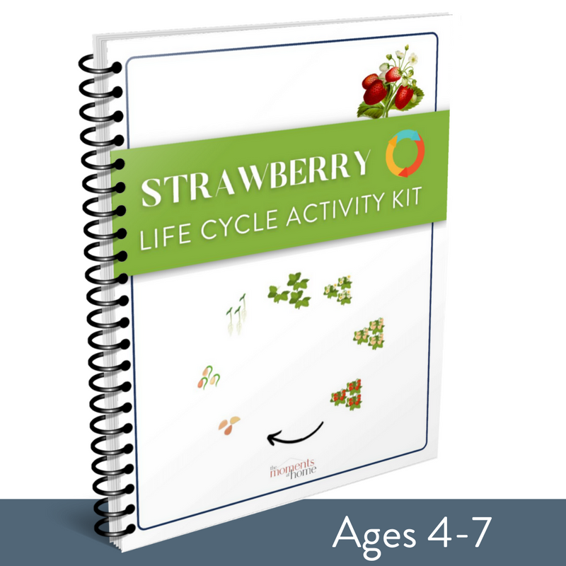 Strawberry Life Cycle Activity Kit