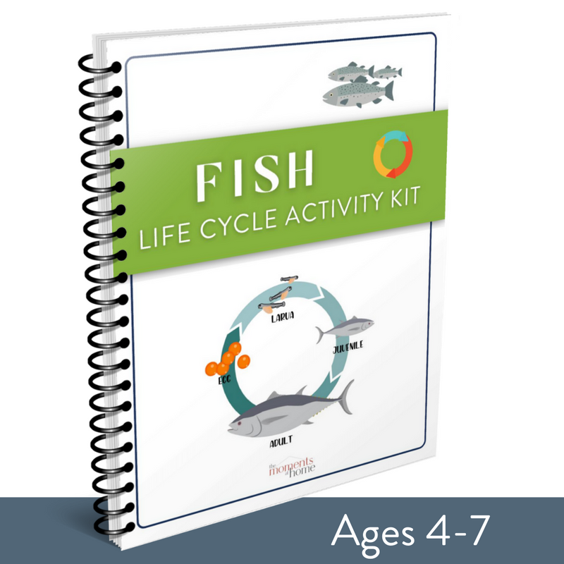 Fish Life Cycle Activity Kit