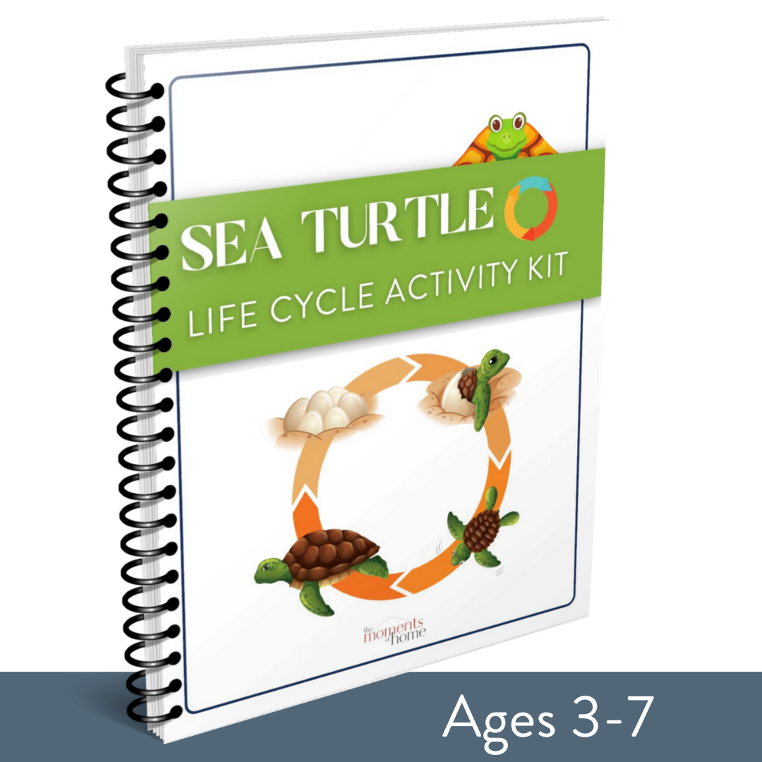 Sea Turtle Life Cycle Activity Kit