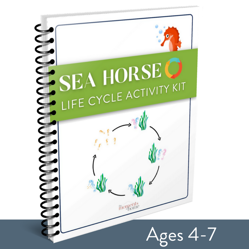 Sea Horse Life Cycle Activity Kit