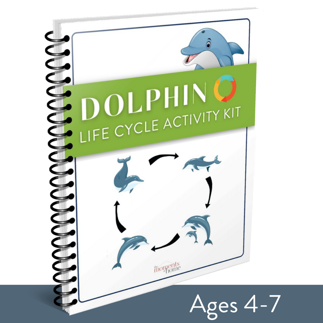 Dolphin Life Cycle Activity Kit