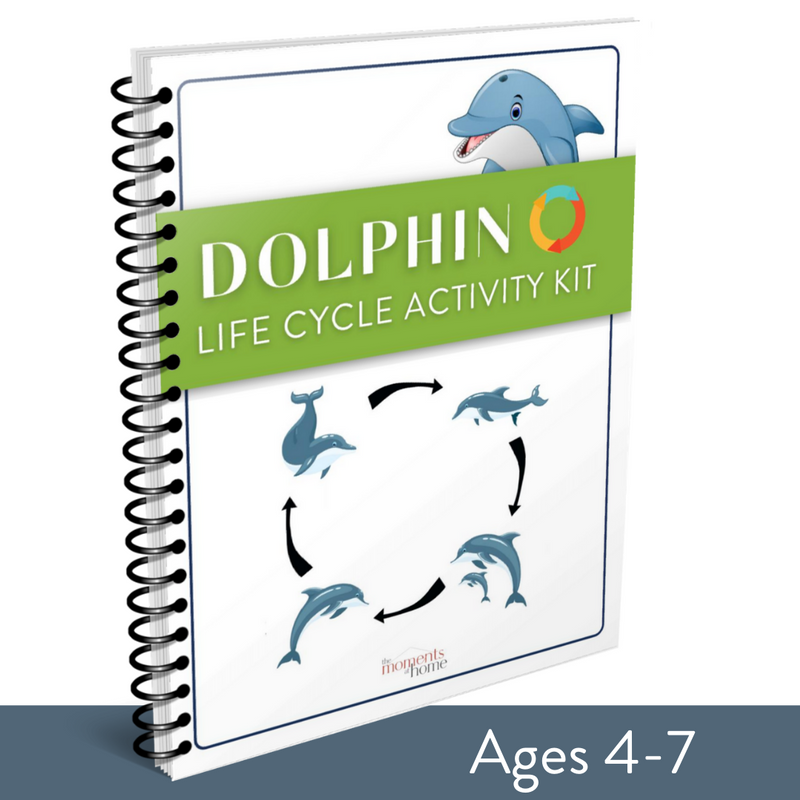 Dolphin Life Cycle Activity Kit