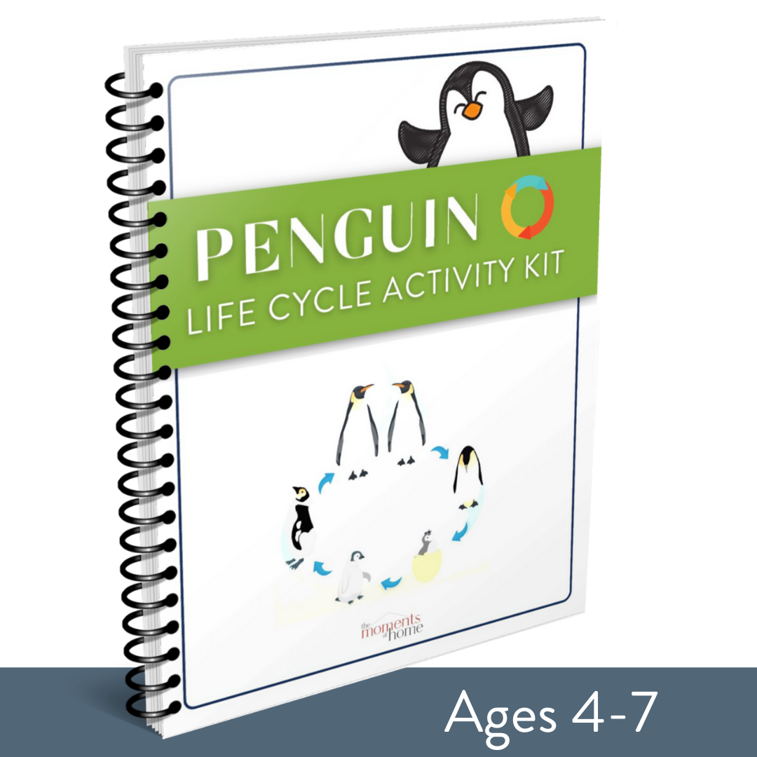 Penguin Life Cycle Activity Kit