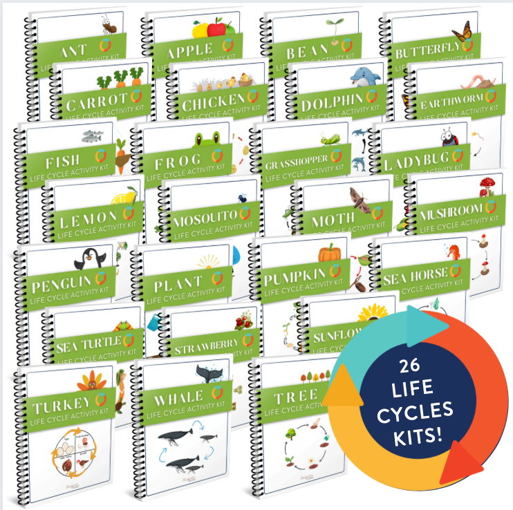 Life Cycles Mega Bundle